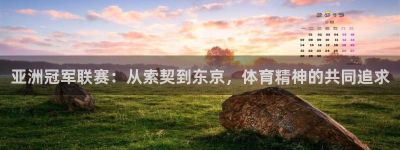 世界杯在线直播:亚洲冠军联赛:从索契到东京,体育精神的共同追求