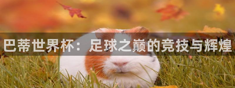 足球世预赛：巴蒂世界杯：足球之巅的竞技与辉煌