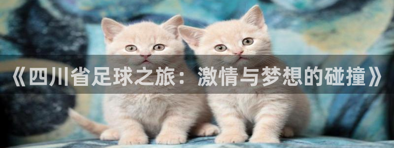 英格兰联赛杯直播：《四川省足球之旅：激情与梦想的碰撞》