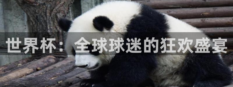 世界杯视频：世界杯：全球球迷的狂欢盛宴
