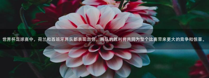 世界杯预选赛排名：世界杯足球赛中，荷兰和西班牙两队都表现出色，两队的胜利将共同为整个比赛带来更大的竞争和惊喜。