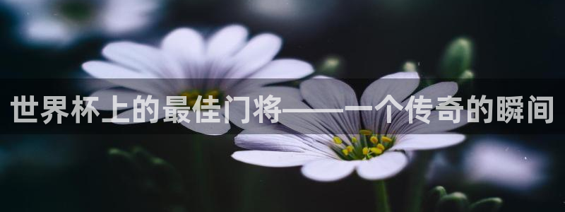 2026年世界杯对阵图：世界杯上的最佳门将——一个传奇的瞬间