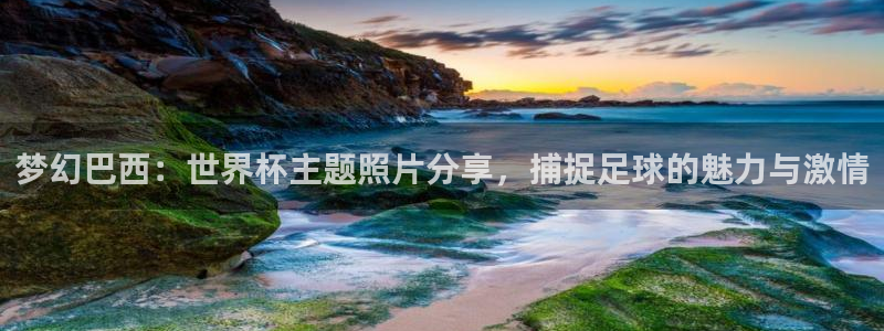 世界杯:梦幻巴西:世界杯主题照片分享,捕捉足球的魅力与激情