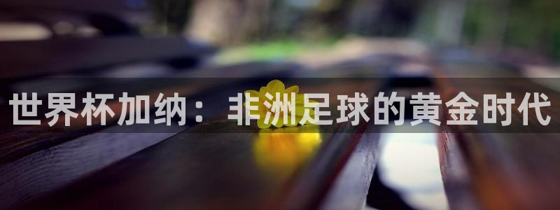 世界杯欧洲预选赛赛程:世界杯加纳:非洲足球的黄金时代