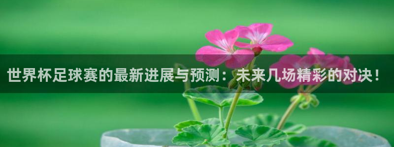 世界直播：世界杯足球赛的最新进展与预测：未来几场精彩的对决！