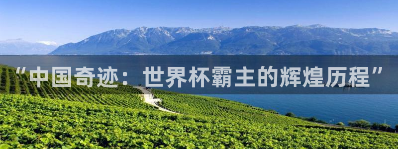 世界杯2026预选赛：“中国奇迹：世界杯霸主的辉煌历程”