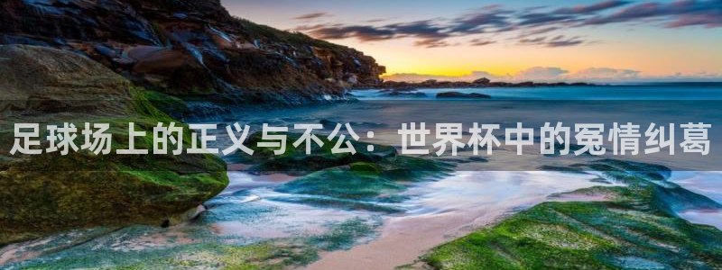 今年的世界杯：足球场上的正义与不公：世界杯中的冤情纠葛