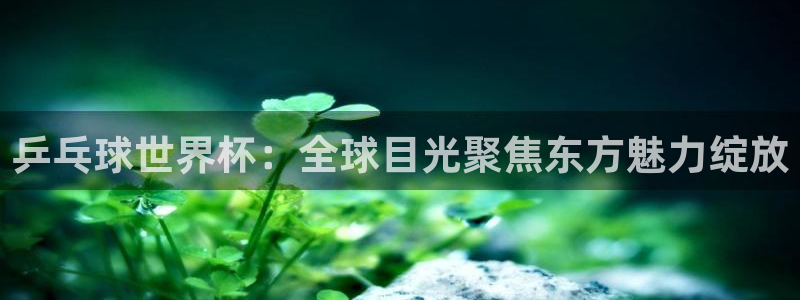 2026世界杯预选赛：乒乓球世界杯：全球目光聚焦东方魅力绽放