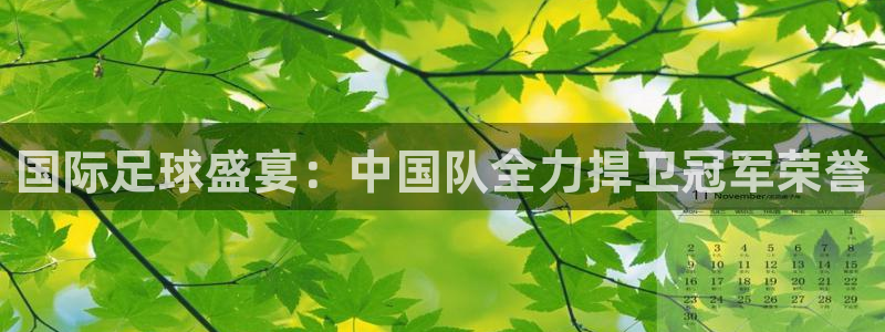 世界杯足球2026：国际足球盛宴：中国队全力捍卫冠军荣誉
