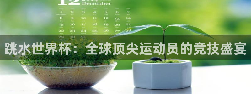 2026男足世界杯赛程：跳水世界杯：全球顶尖运动员的竞技盛宴