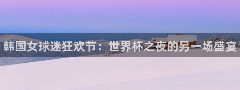 世界杯决赛直播：韩国女球迷狂欢节：世界杯之夜的另一场盛宴