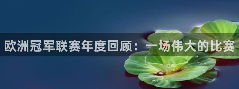 女足世界杯直播在线观看免费高清：欧洲冠军联赛年度回顾：一场伟大的比赛