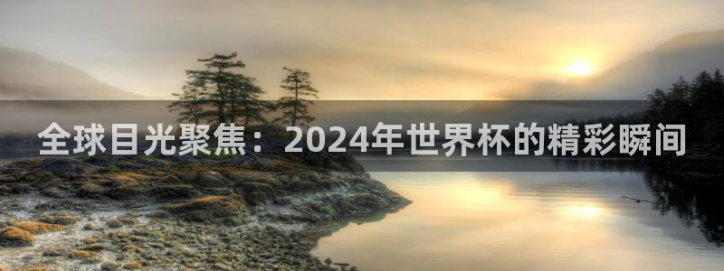 亚洲区世界杯预选赛：全球目光聚焦：2024年世界杯的精彩瞬间