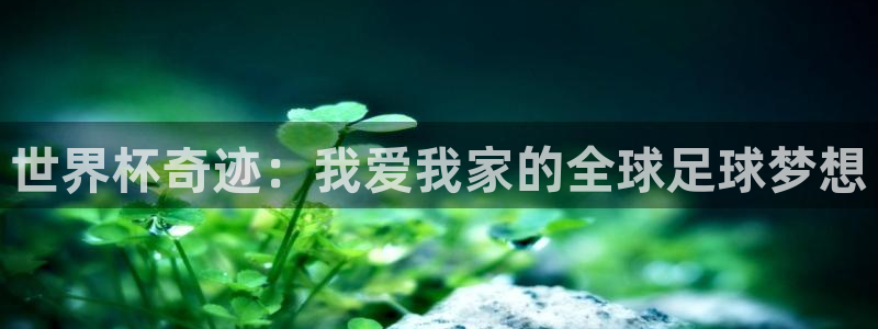 2026世界杯直播免费观看：世界杯奇迹：我爱我家的全球足球梦想