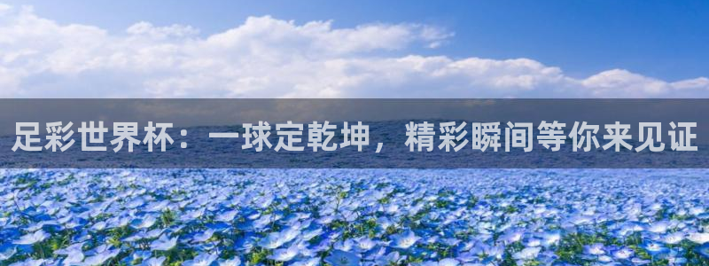 2026年世界杯直播平台：足彩世界杯：一球定乾坤，精彩瞬间等你来见证